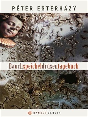 cover image of Bauchspeicheldrüsentagebuch